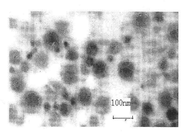 Method for preparing degradable polyampholyte microgel