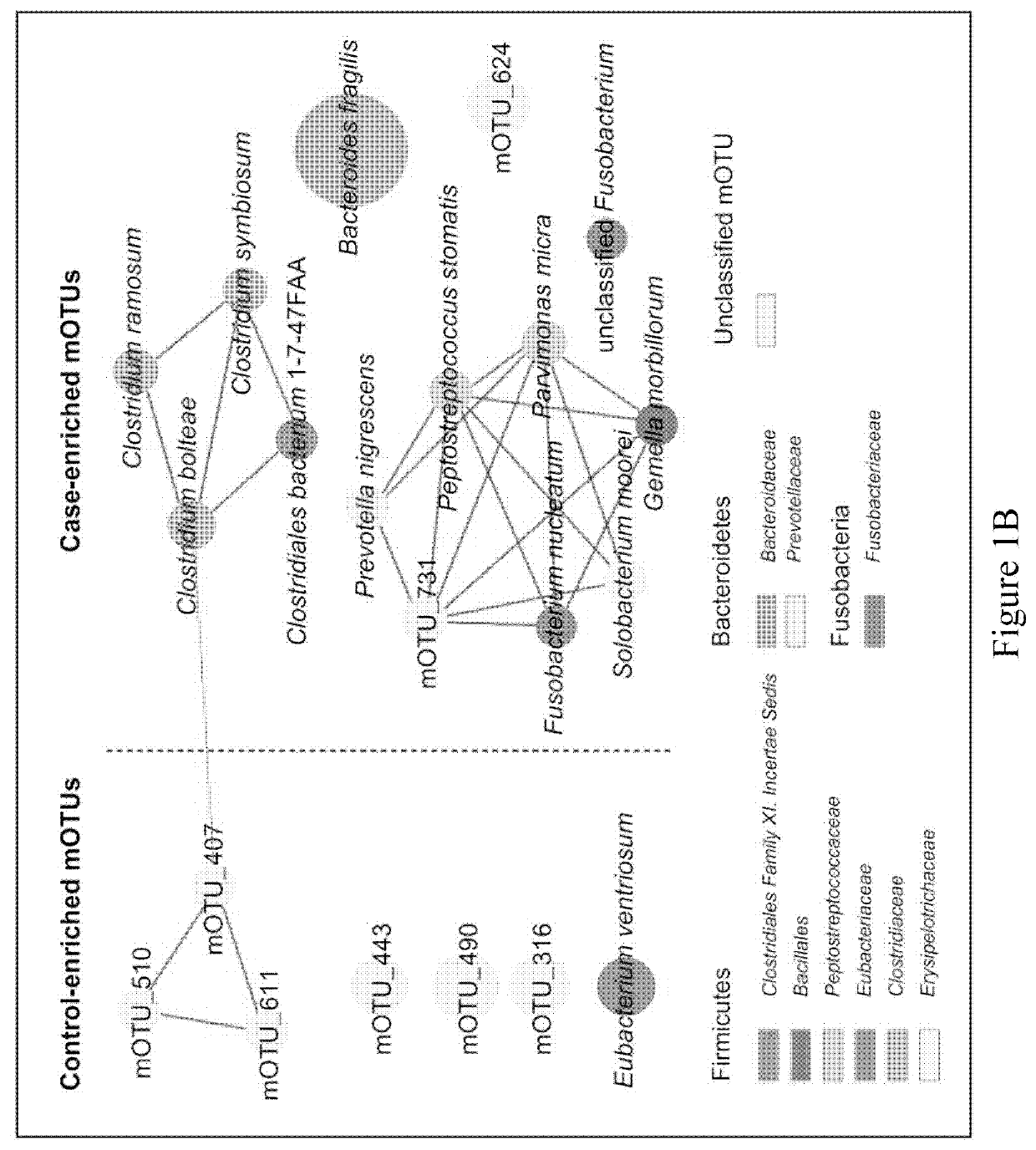 Fecal bacterial markers for colorectal cancer