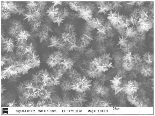 Silicon anode material with spherical thorn-shaped structure and preparation method thereof