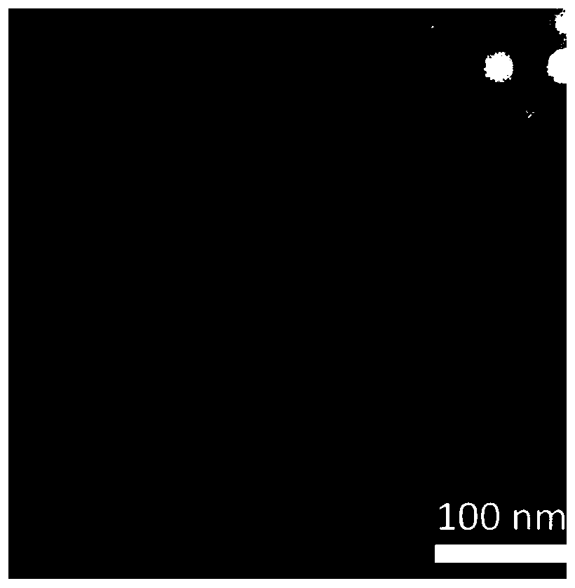 Nanocomposite of DNA tetrahedron and microRNA