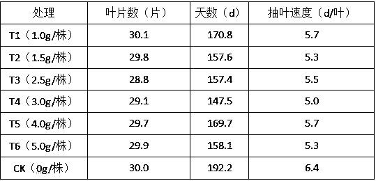 Natural hybridization method for early bud extraction of female parents of bananas