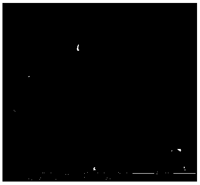 Three-dimensional nitrogen-doped graphene platinoid-loaded composite electro-catalyst and preparation method thereof