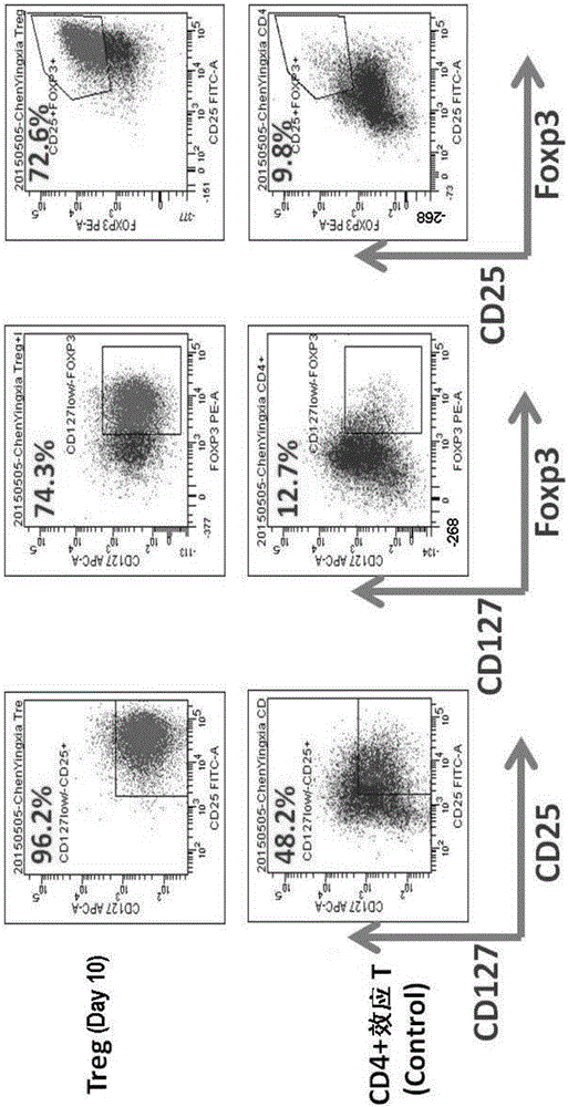 Kit for induced amplification of regulatory T cells from naive T cells