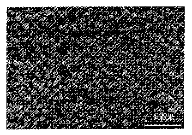 Solvent type aeolotropic nano conductive adhesive and manufacturing method thereof