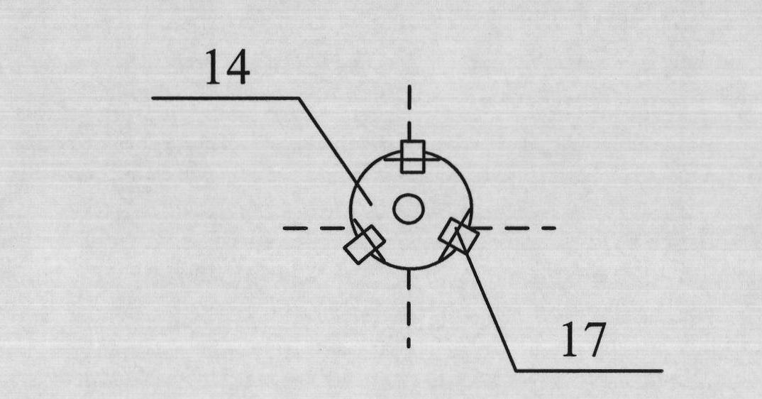 Plant root system monitoring system based on hyperboloidal mirror