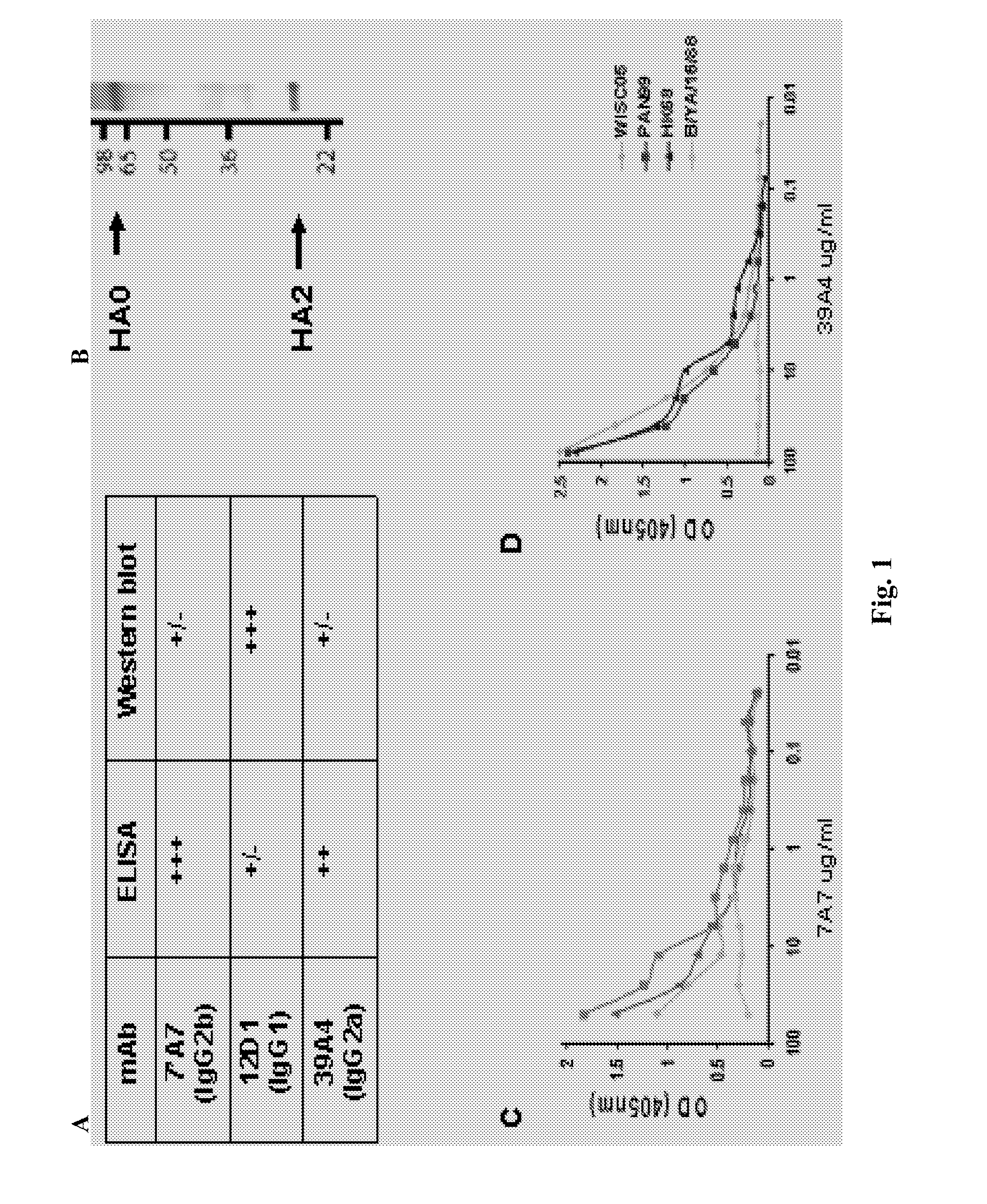 Monoclonal antibodies against influenza virus generated by cyclical administration and uses thereof