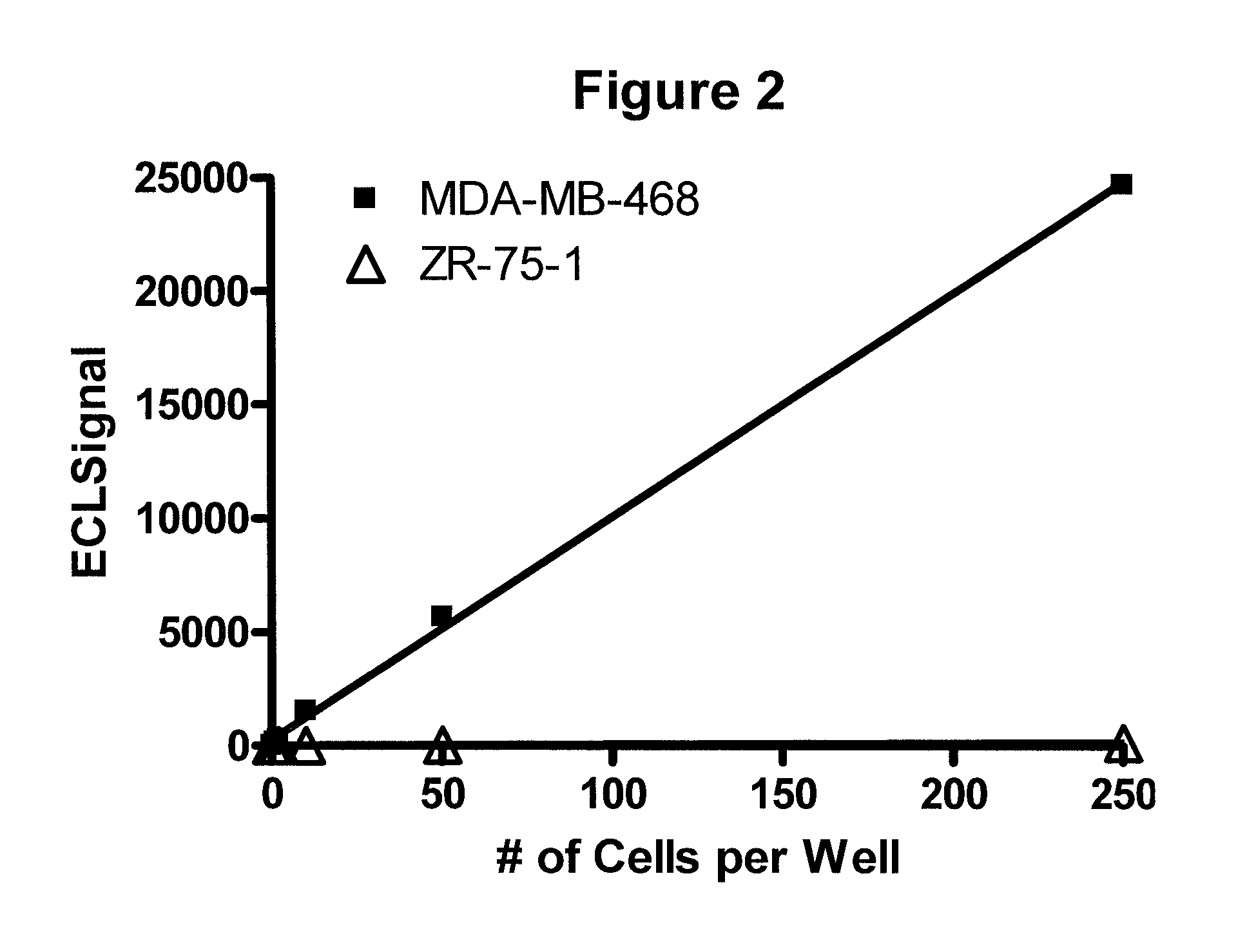 Detection of proteins from circulating neoplastic cells