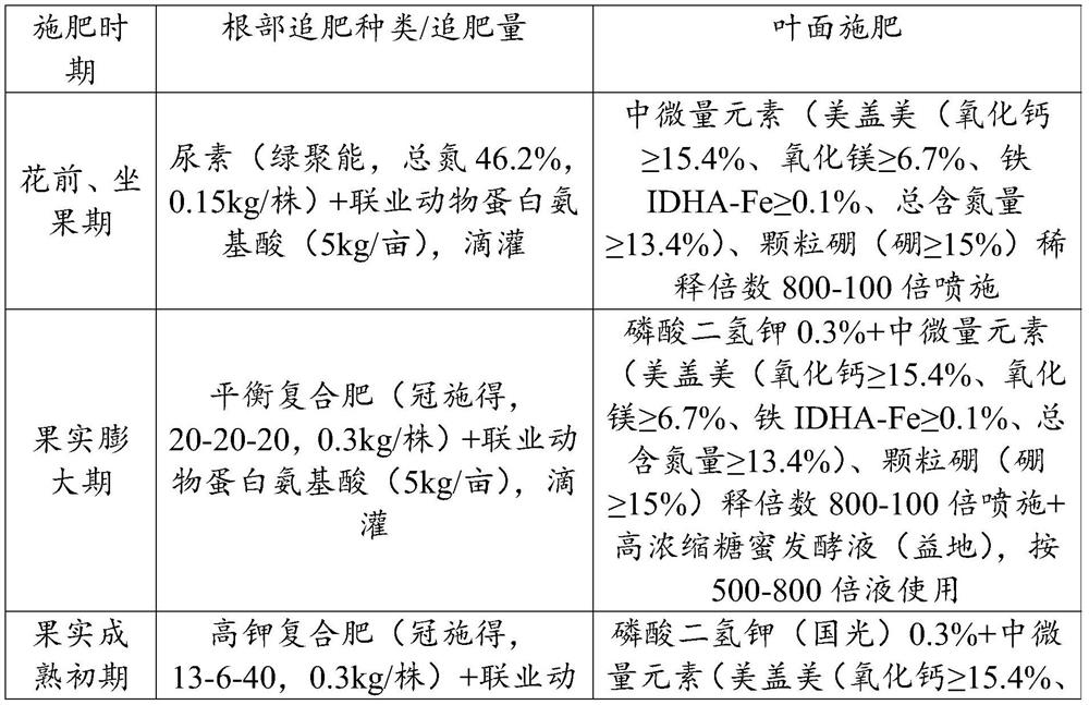 Fertilization management method of adult cocktail grapefruit and growing method of cocktail grapefruit containing same