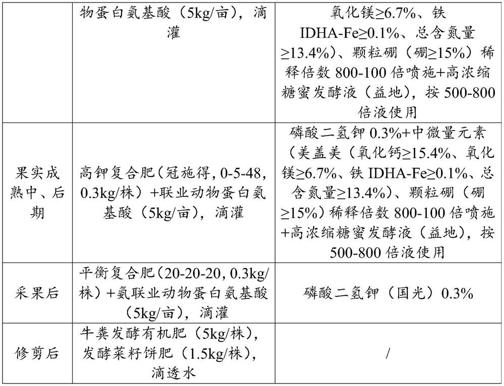 Fertilization management method of adult cocktail grapefruit and growing method of cocktail grapefruit containing same