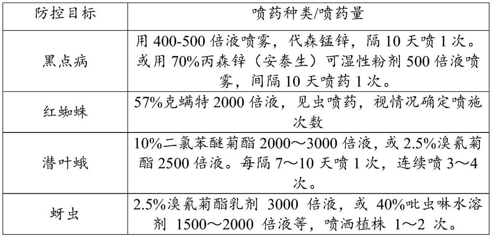 Fertilization management method of adult cocktail grapefruit and growing method of cocktail grapefruit containing same