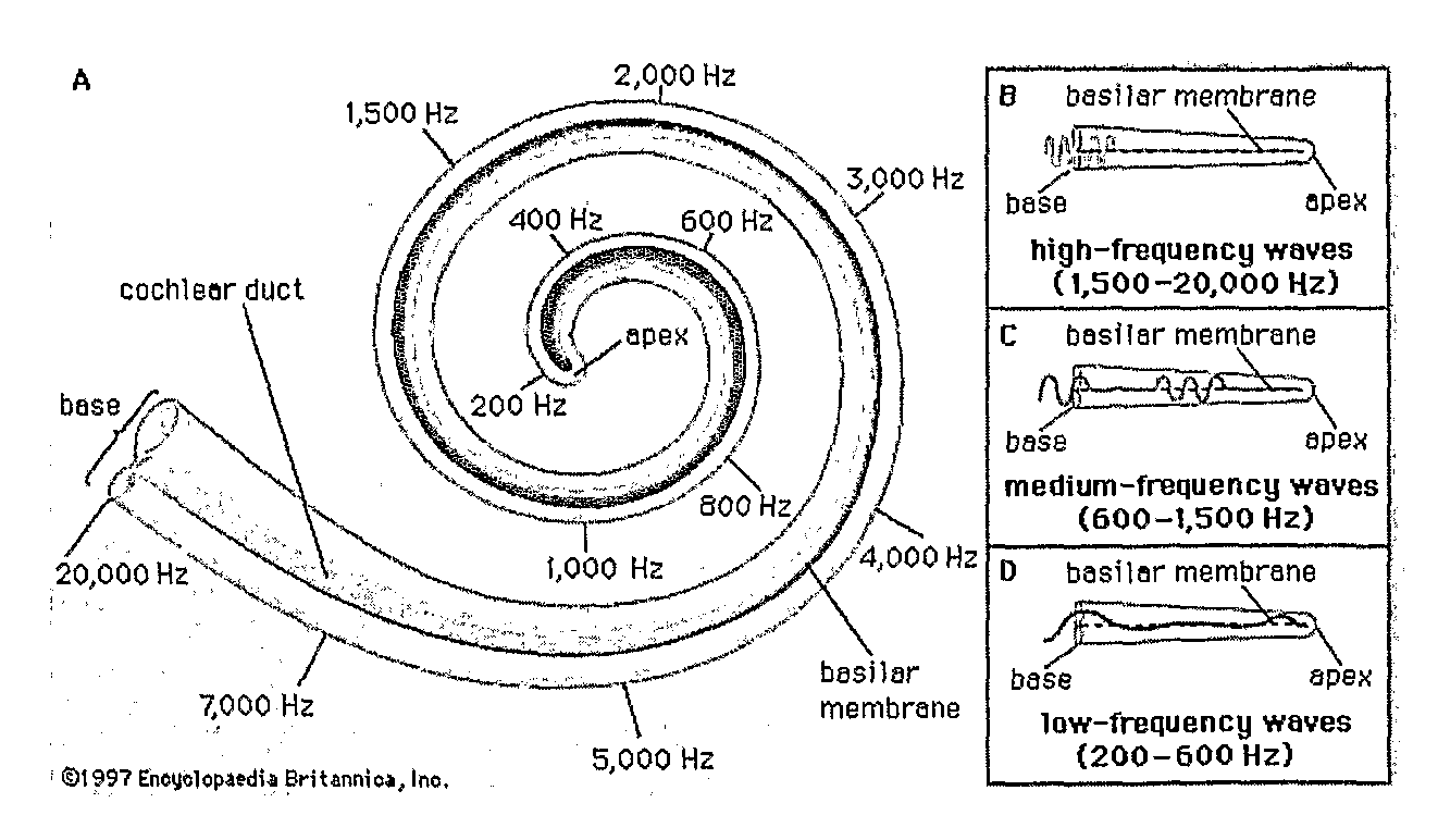 Sound processing method and system