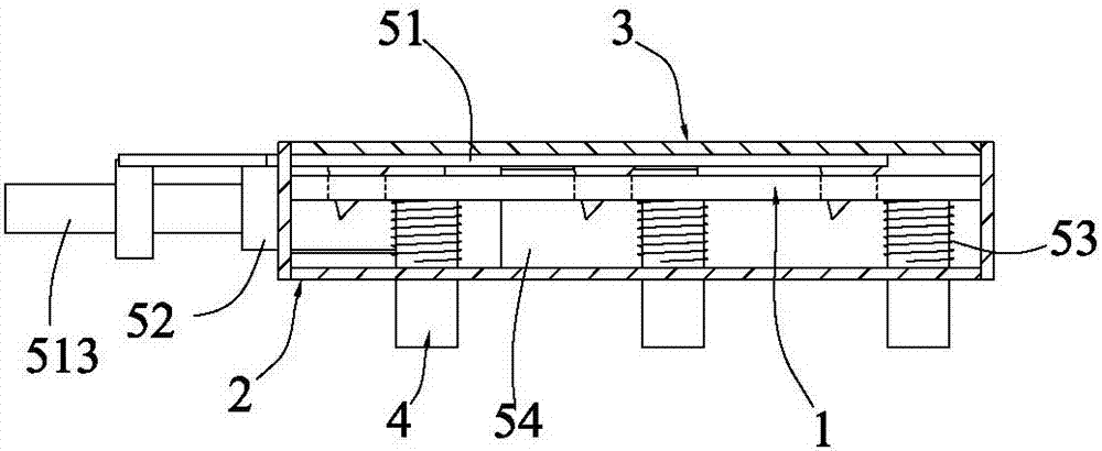 Telescopic snowshoe anti-skid device