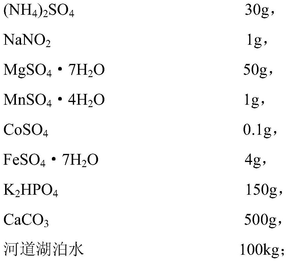 Directional amplification method for bioremediation indigenous microorganisms in rivers and lakes and application of directional amplification method