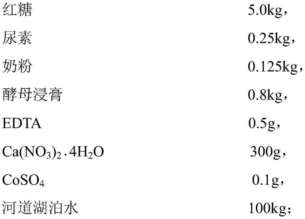 Directional amplification method for bioremediation indigenous microorganisms in rivers and lakes and application of directional amplification method