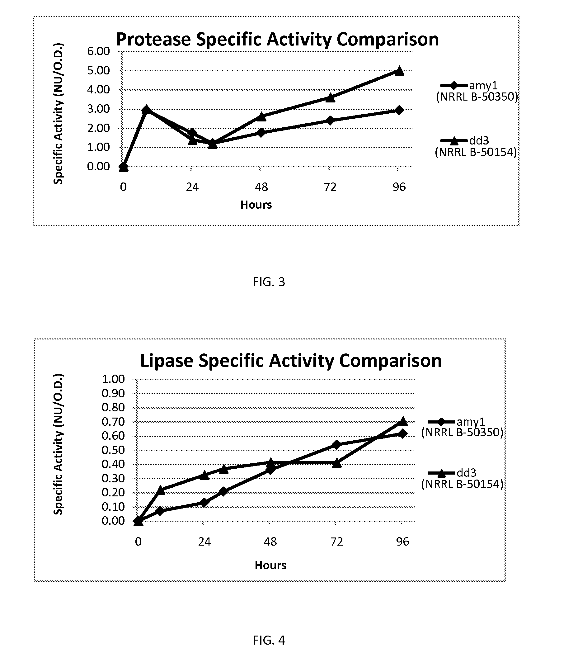 Bacillus amyloliquefaciens Strain