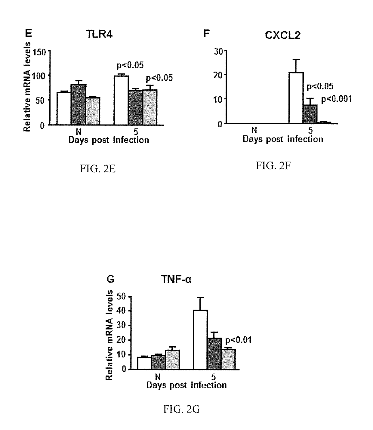 Compositions and methods relating to treatment of infection