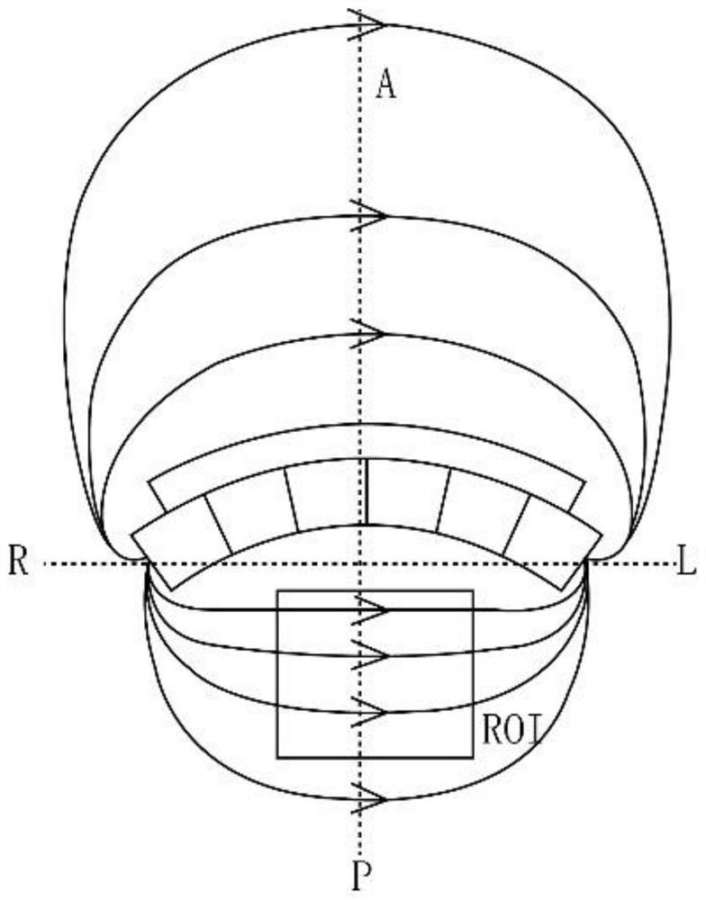 A portable nuclear magnetic resonance organ elasticity non-invasive quantitative detection method