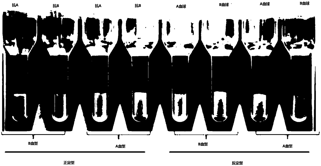 Zirconia microsphere ABO blood-type forward and reverse typing reagent card and preparation method thereof