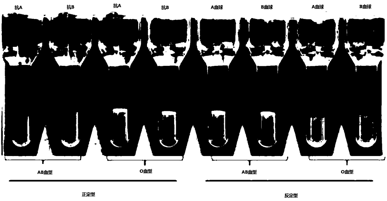 Zirconia microsphere ABO blood-type forward and reverse typing reagent card and preparation method thereof