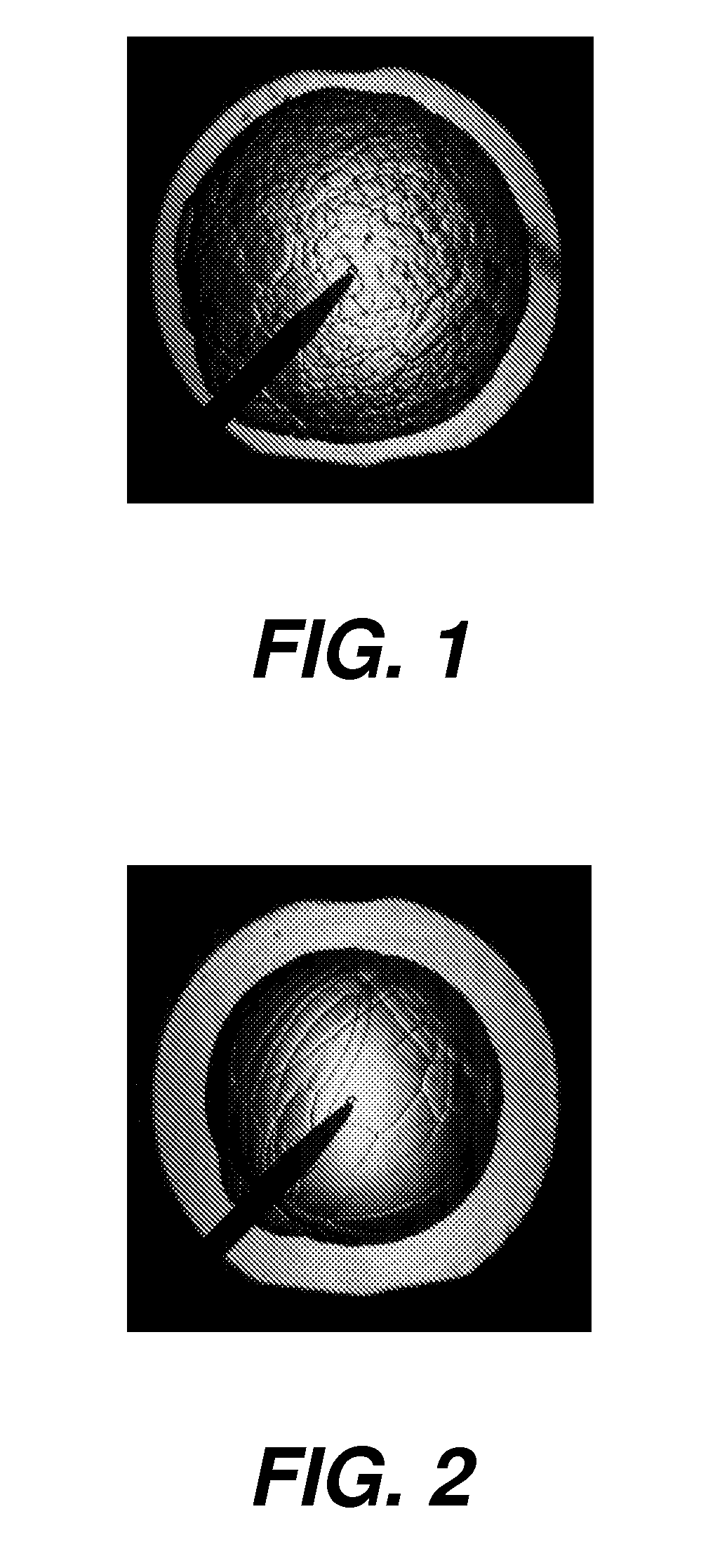 Fuel composition and its use