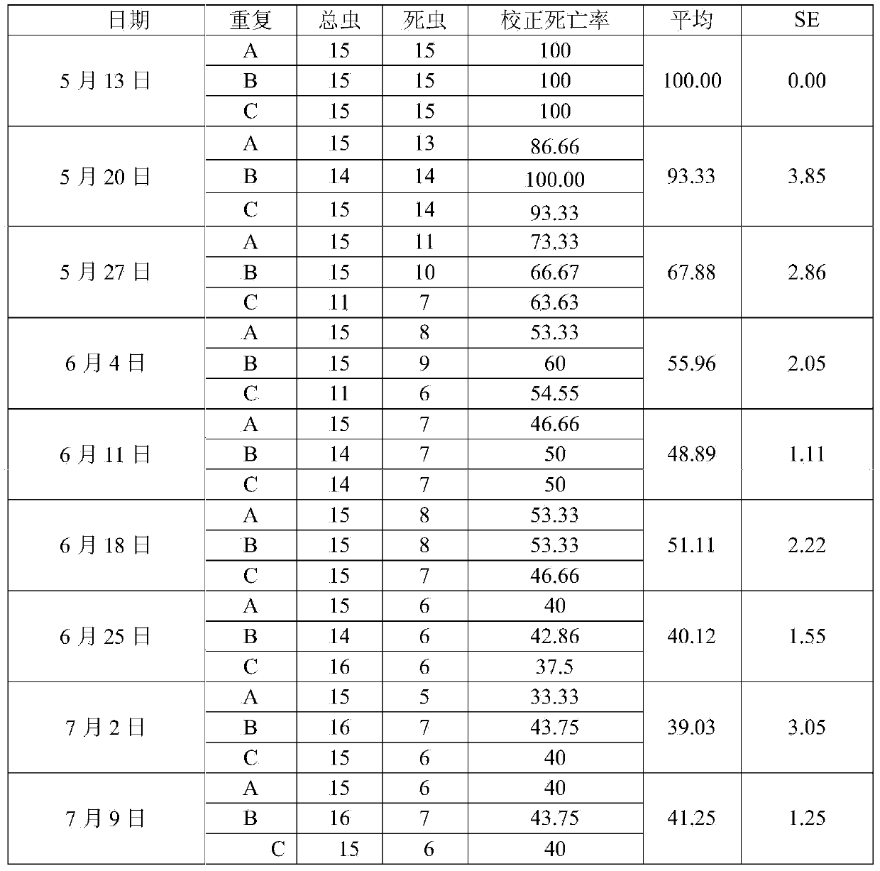 Metarrhizum anisopliae for preventing and treating palm insect rhynchophorus ferrugineus and application thereof