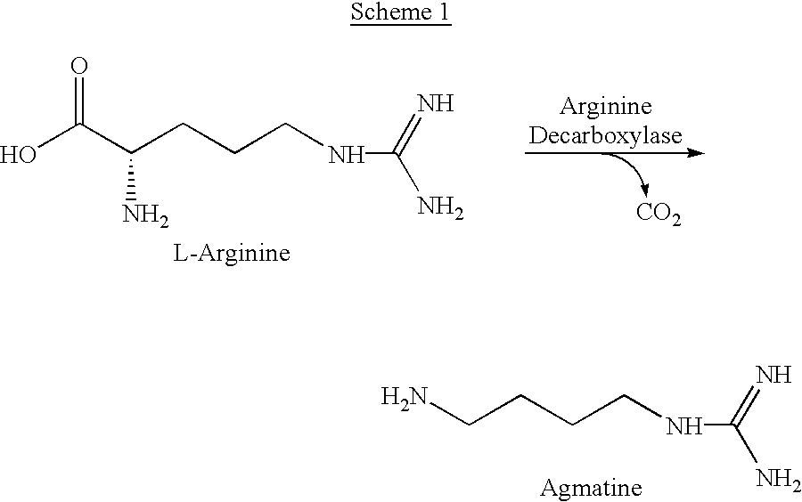 Agmatine and agmatine analogs in the treatment of epilepsy, seizure, and electroconvulsive disorders