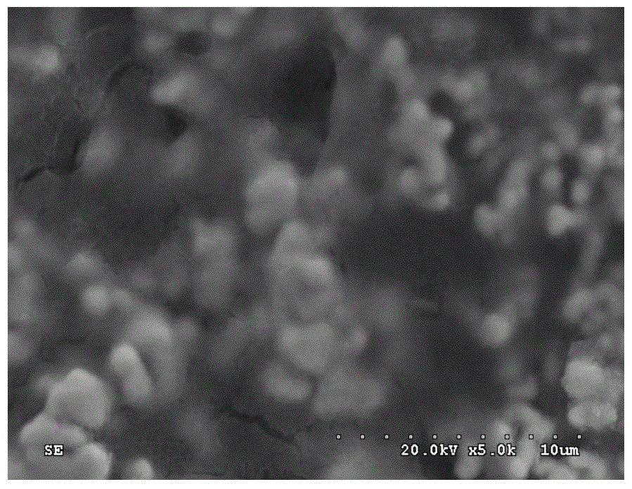 Preparation method of flexible composite catholyte with high conductivity