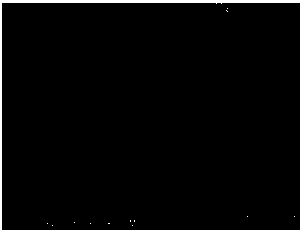 Preparation method of network polyaniline conducting active material