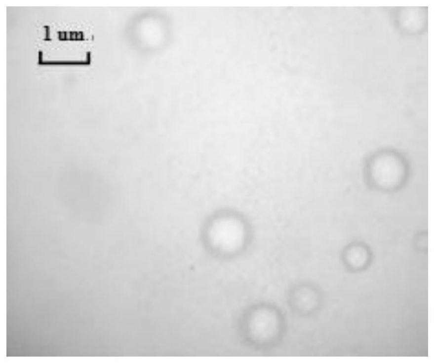 A kind of microcapsule eye firming muscle base liquid and its preparation method