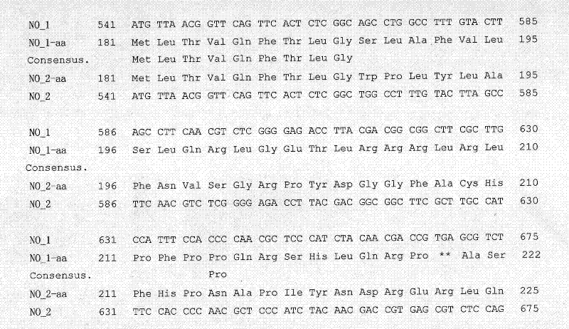 Brassica napus high oleic acid molecular marker and its preparation method and application