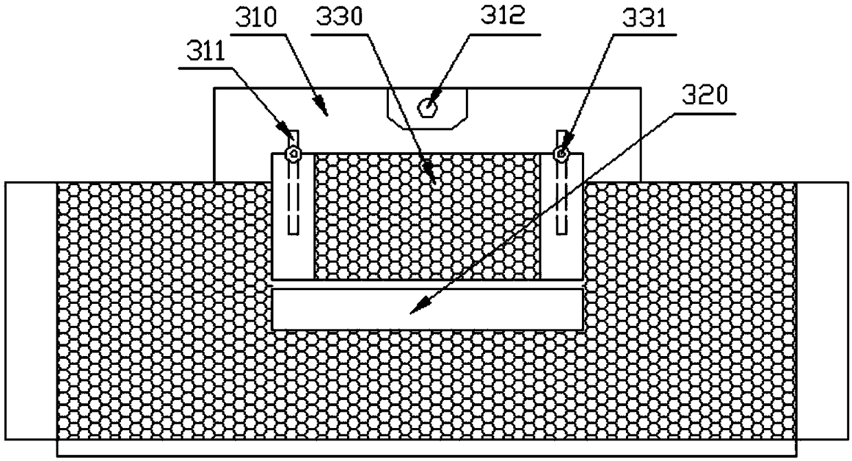 Tea fresh leaf sorting equipment