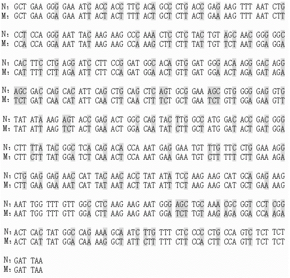 Human acid fibroblast growth factor fusion protein, and coding gene and applications thereof