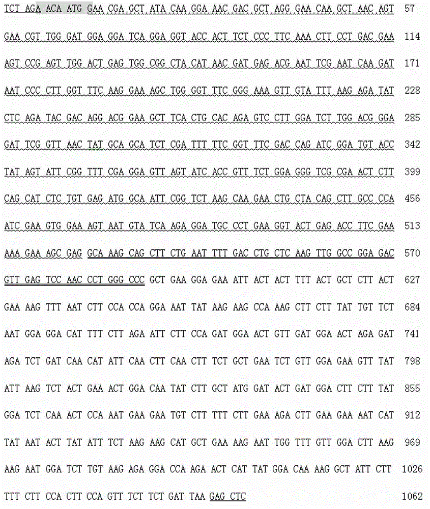 Human acid fibroblast growth factor fusion protein, and coding gene and applications thereof