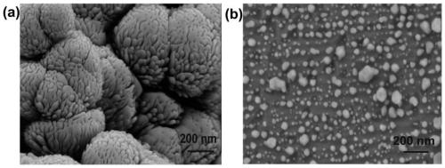 Preparation method of a three-dimensional graphene/silver nanoflower stretchable biosensor material