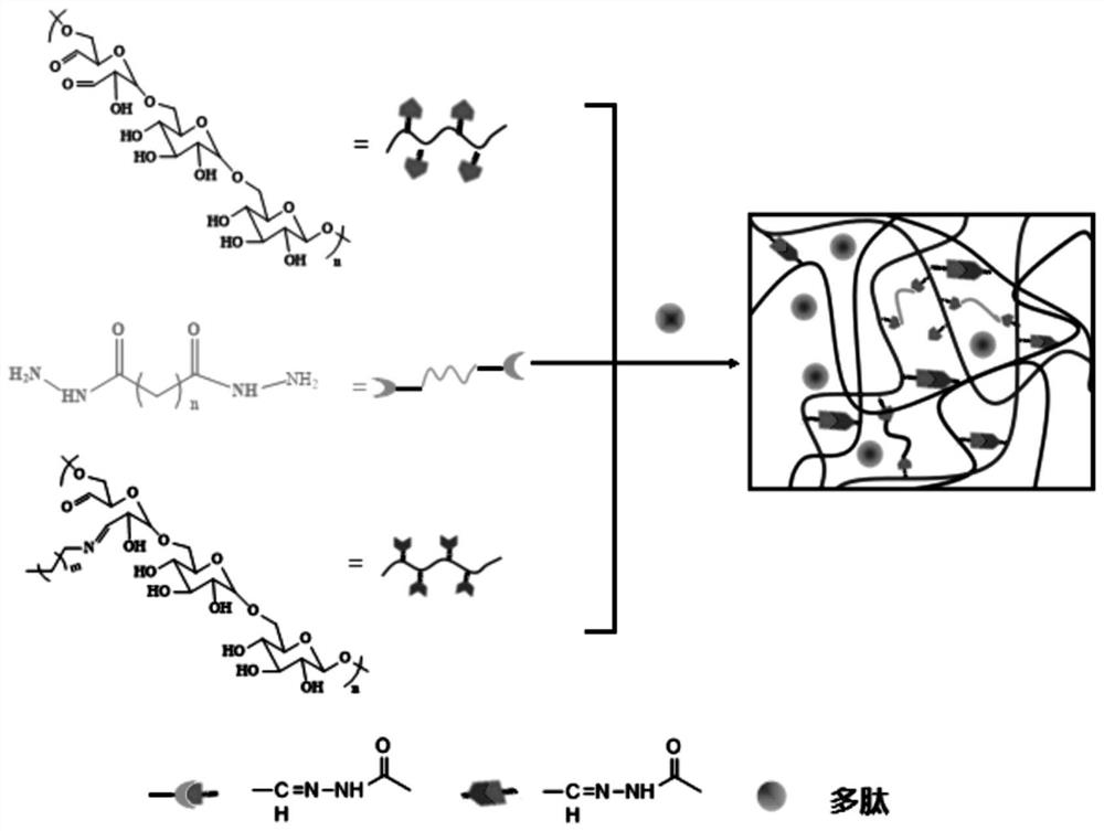 Injectable self-healing antibacterial hydrogel dressing preloaded with polypeptide and preparation method thereof