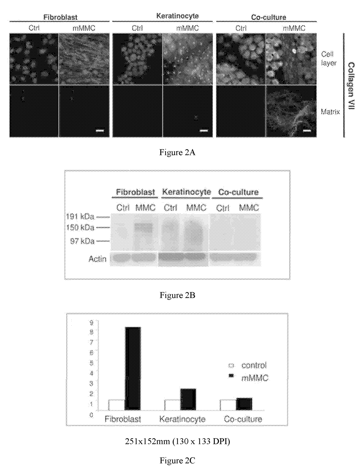 Methods Of Producing Tissue-Mimetic Constructs And Uses Thereof