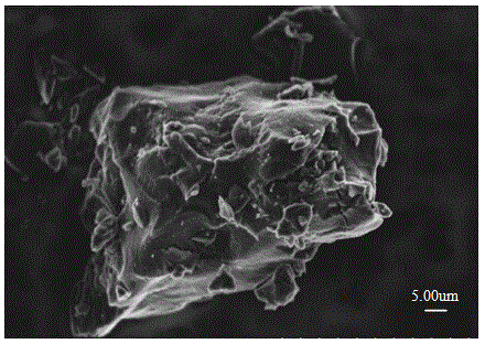 High-water-absorbing carbon material under low-humidity condition and modification and preparation method thereof