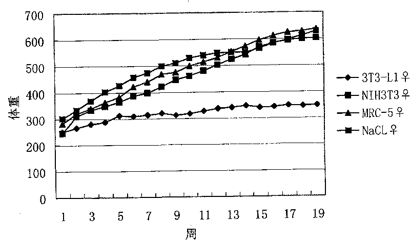 Preadipocyte heterologous vaccine and preparation method and application thereof