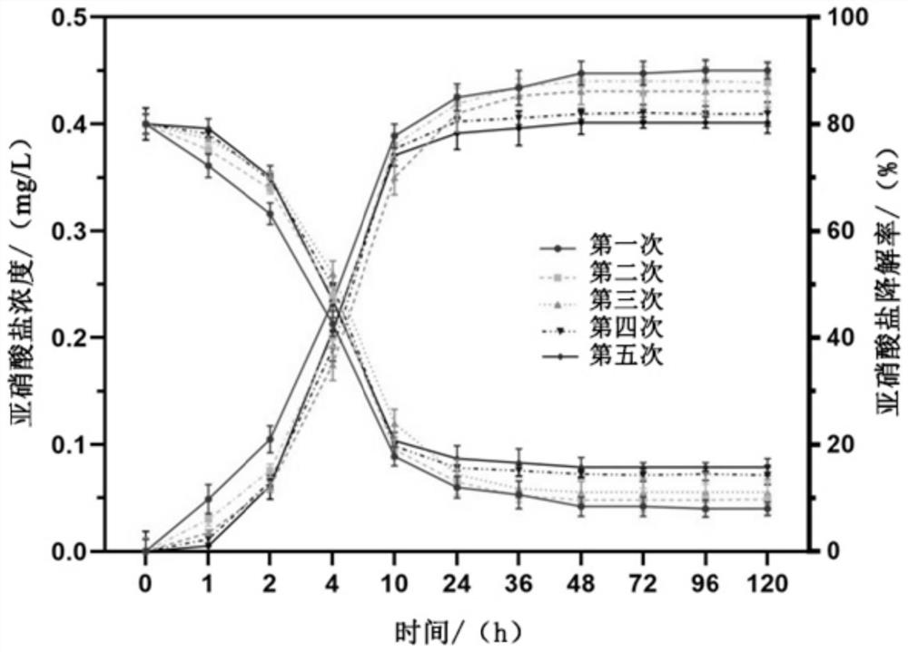 Microbial preparation and aquaculture water purification method