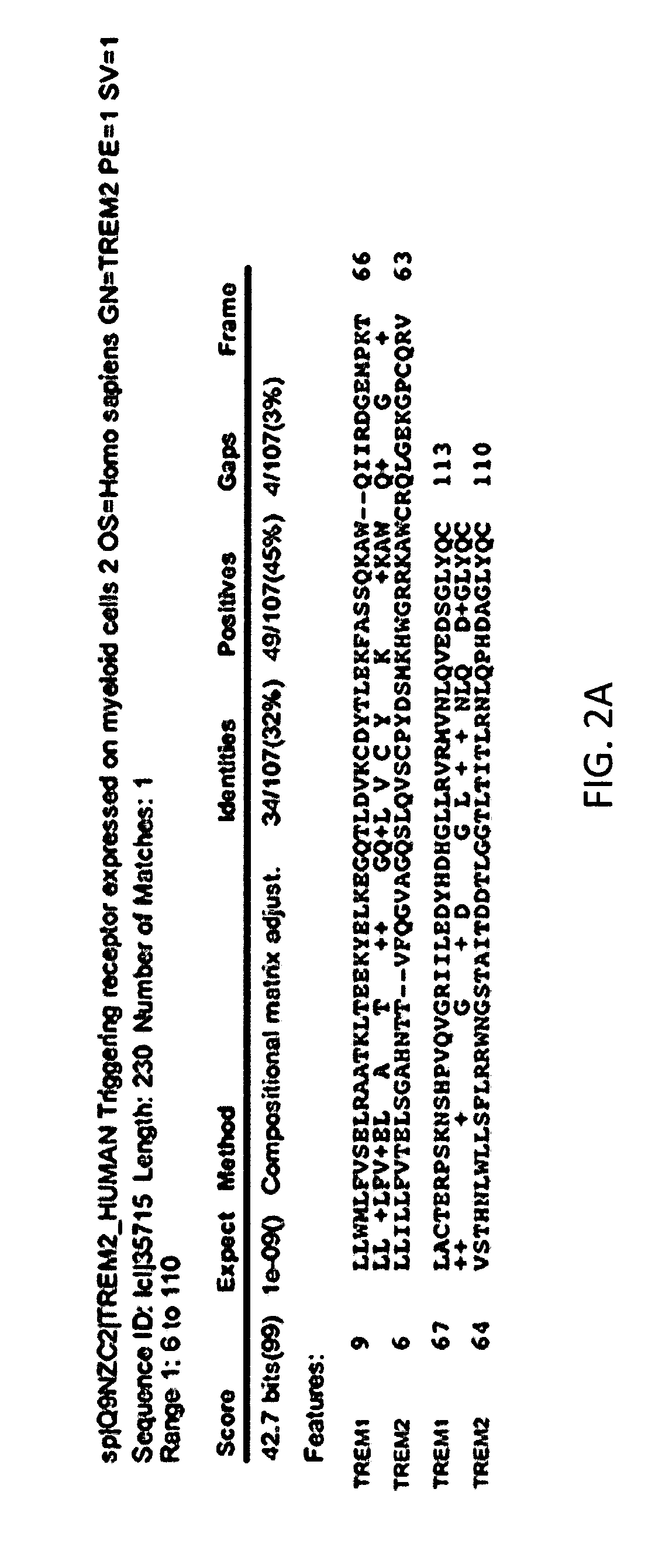 Anti-trem2 antibodies and methods of use thereof