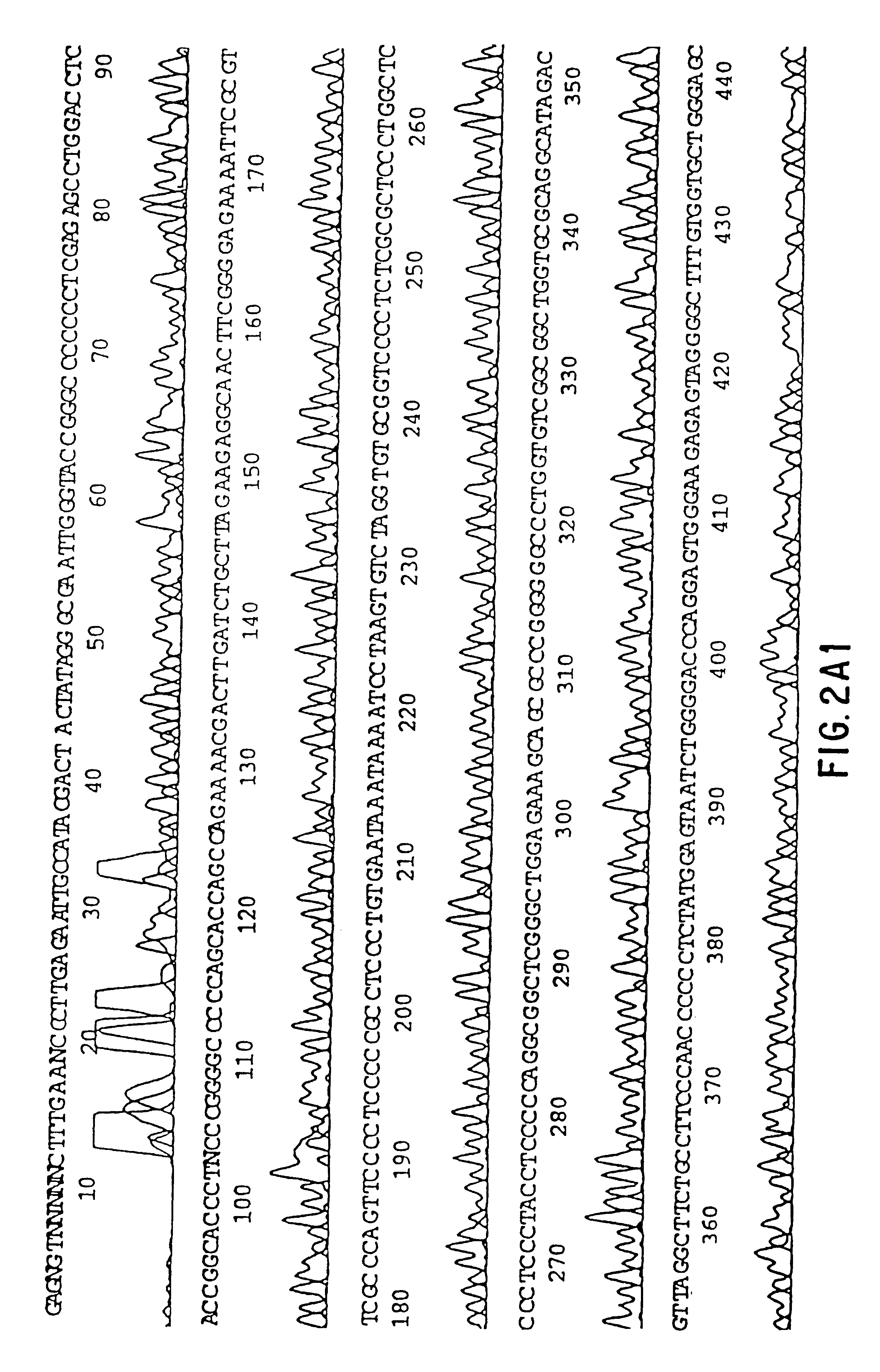 Method and apparatus for flow-through hybridization