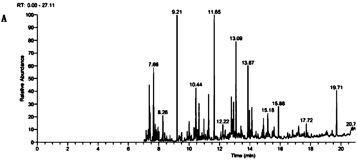 Myliataylori sesquiterpene synthetase MTa and gene sequence thereof