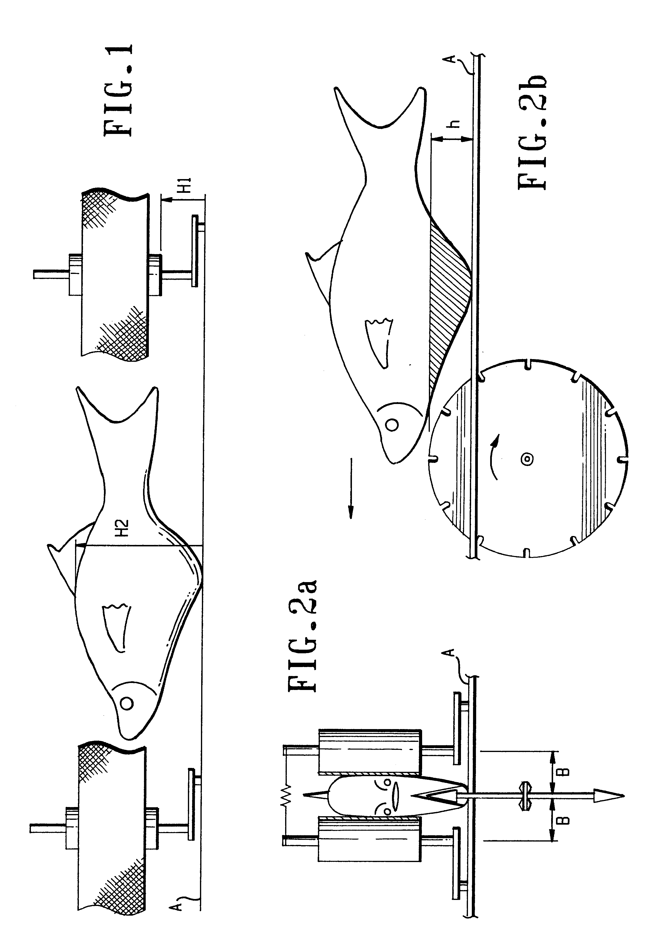 Method for scaling fresh fish and removing its internal organs and device for implementation of the offered method