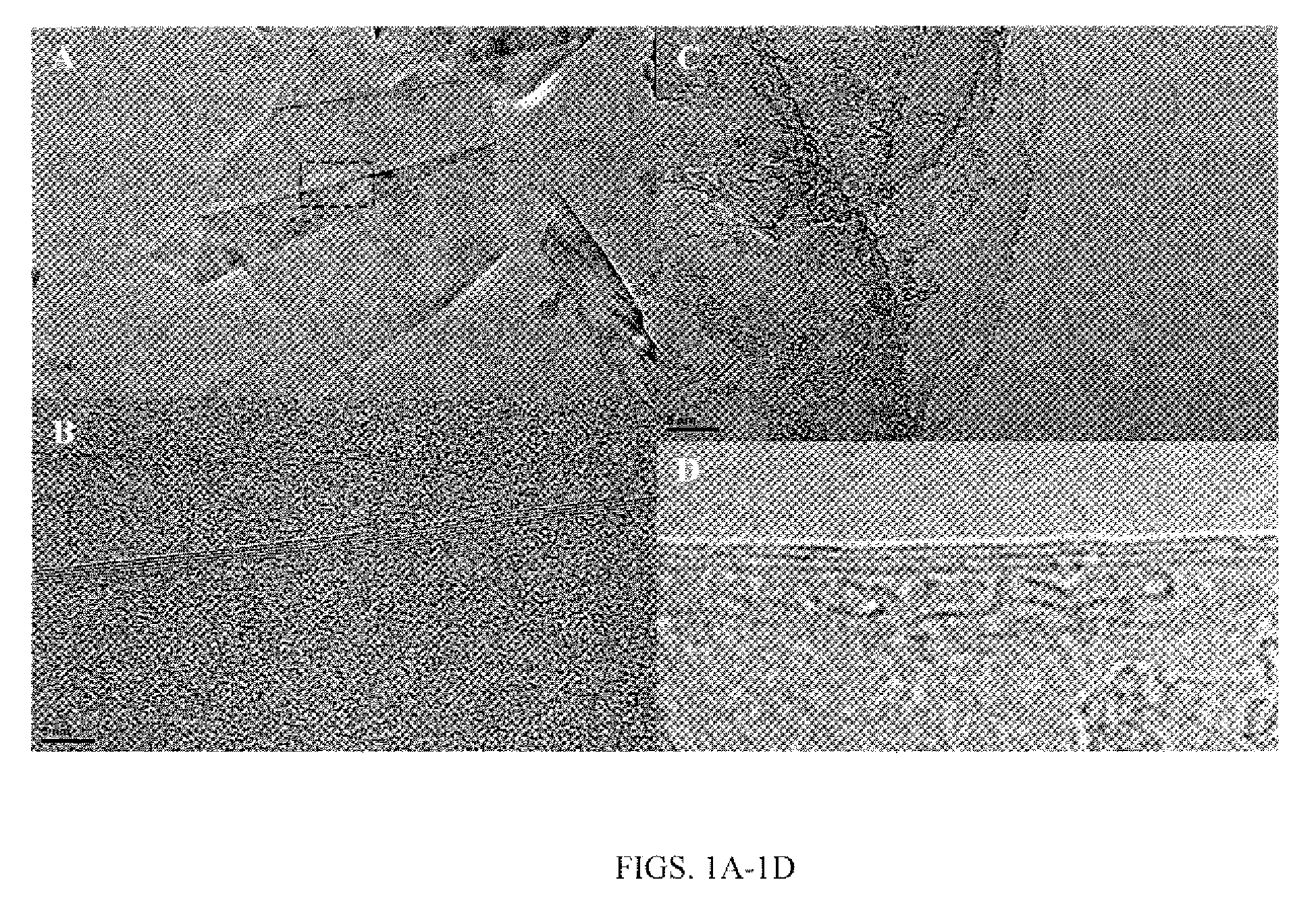 Method for Exfoliation of Hexagonal Boron Nitride