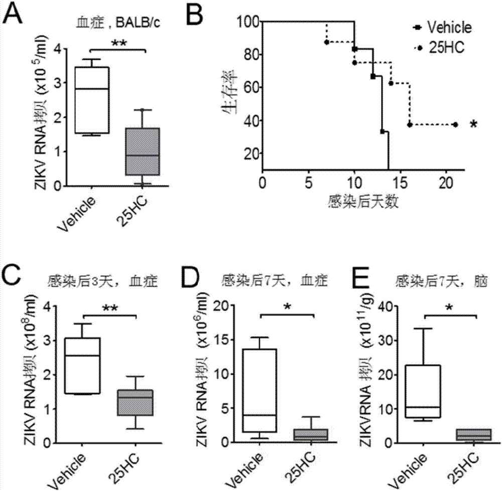 Application of 25-hydroxycholesterol in inhibiting flaviviruses