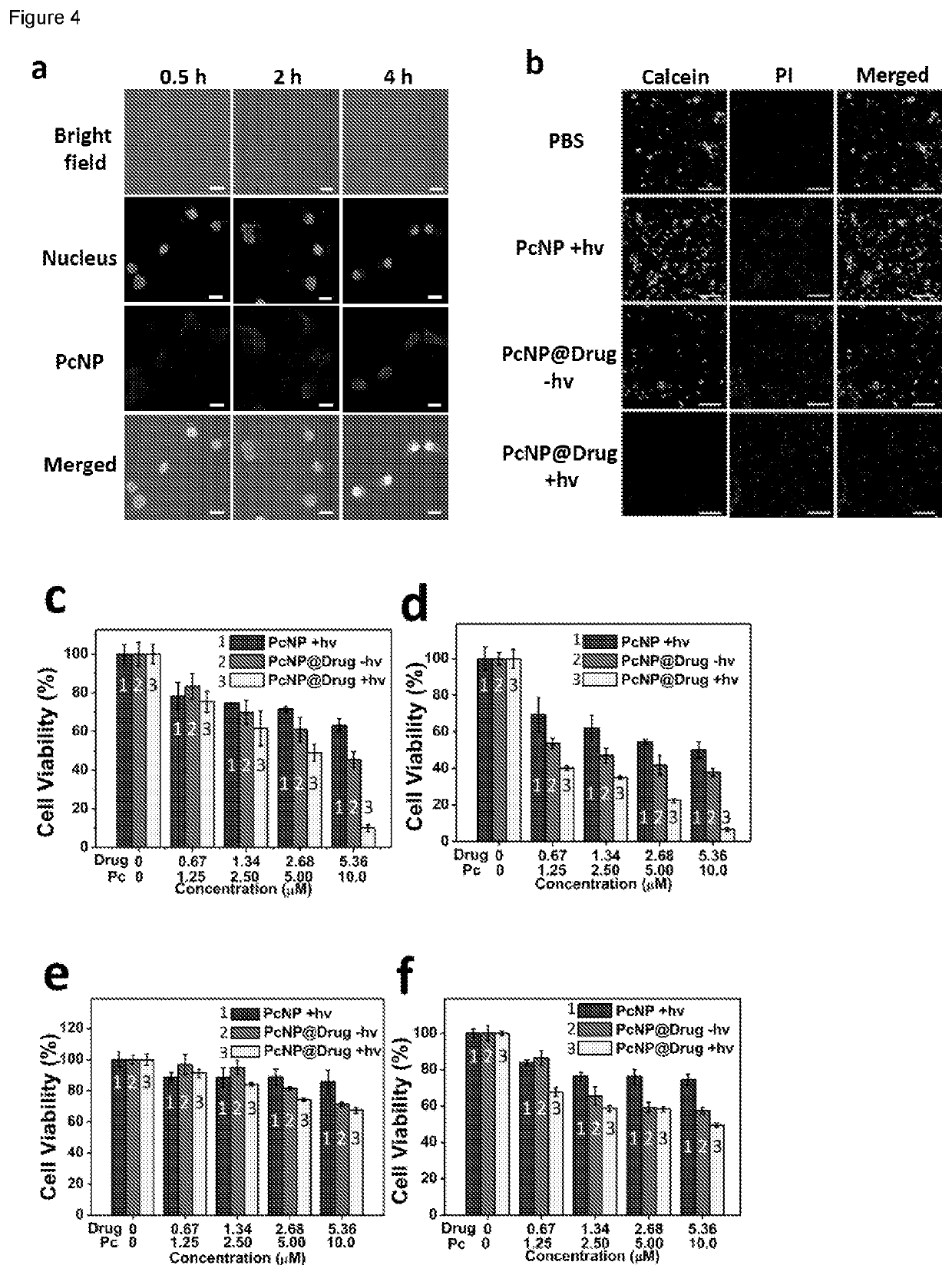 Photodynamically active organosilica nanoparticles and medical uses thereof