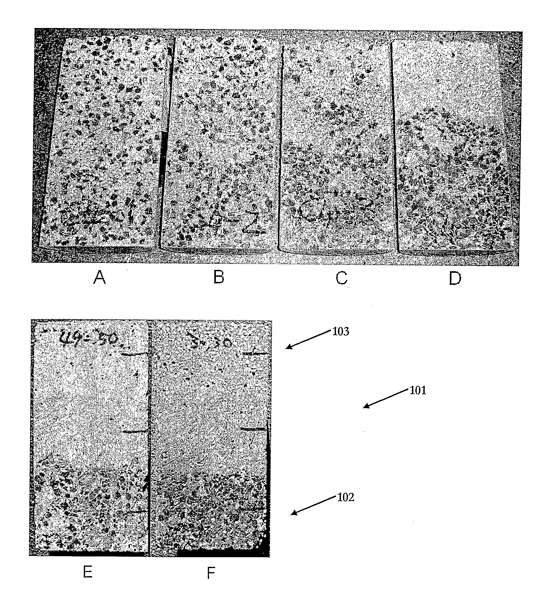 Stratified cementitious composite