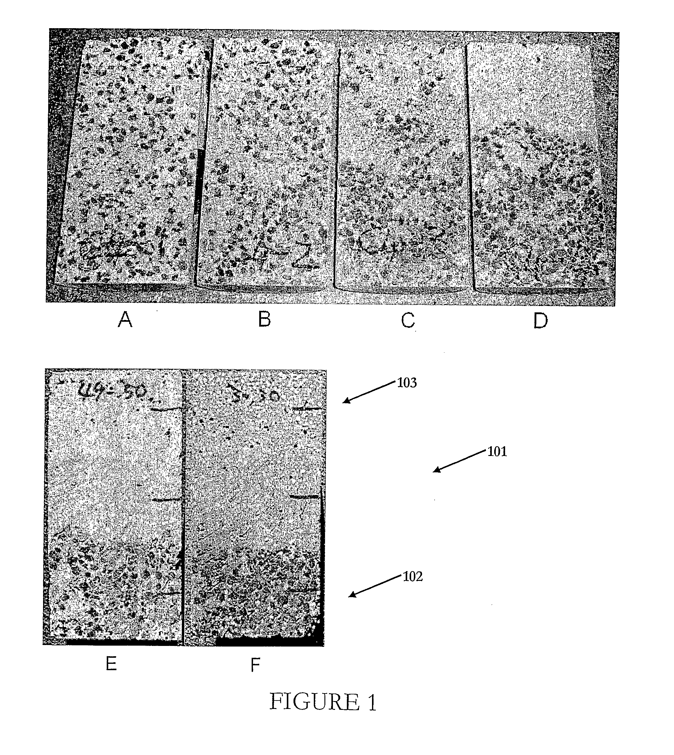 Stratified cementitious composite