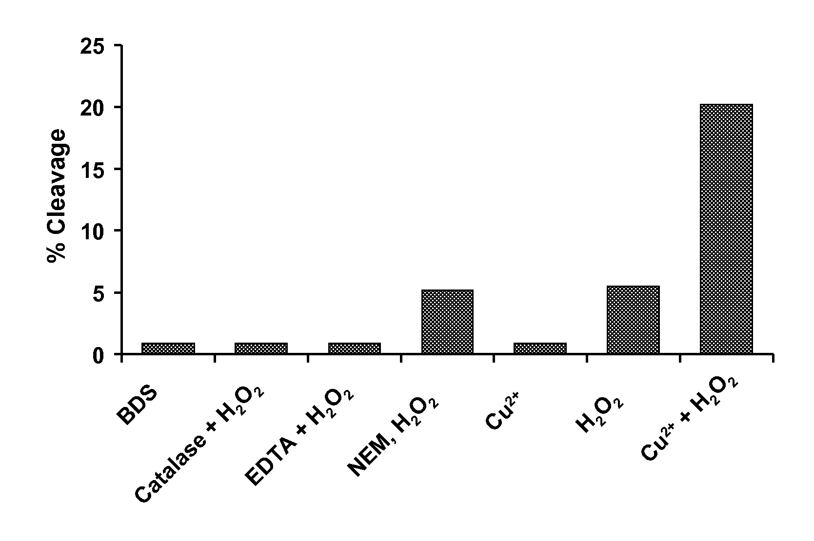 FRAGMENTATION RESISTANT IgG1 Fc-CONJUGATES