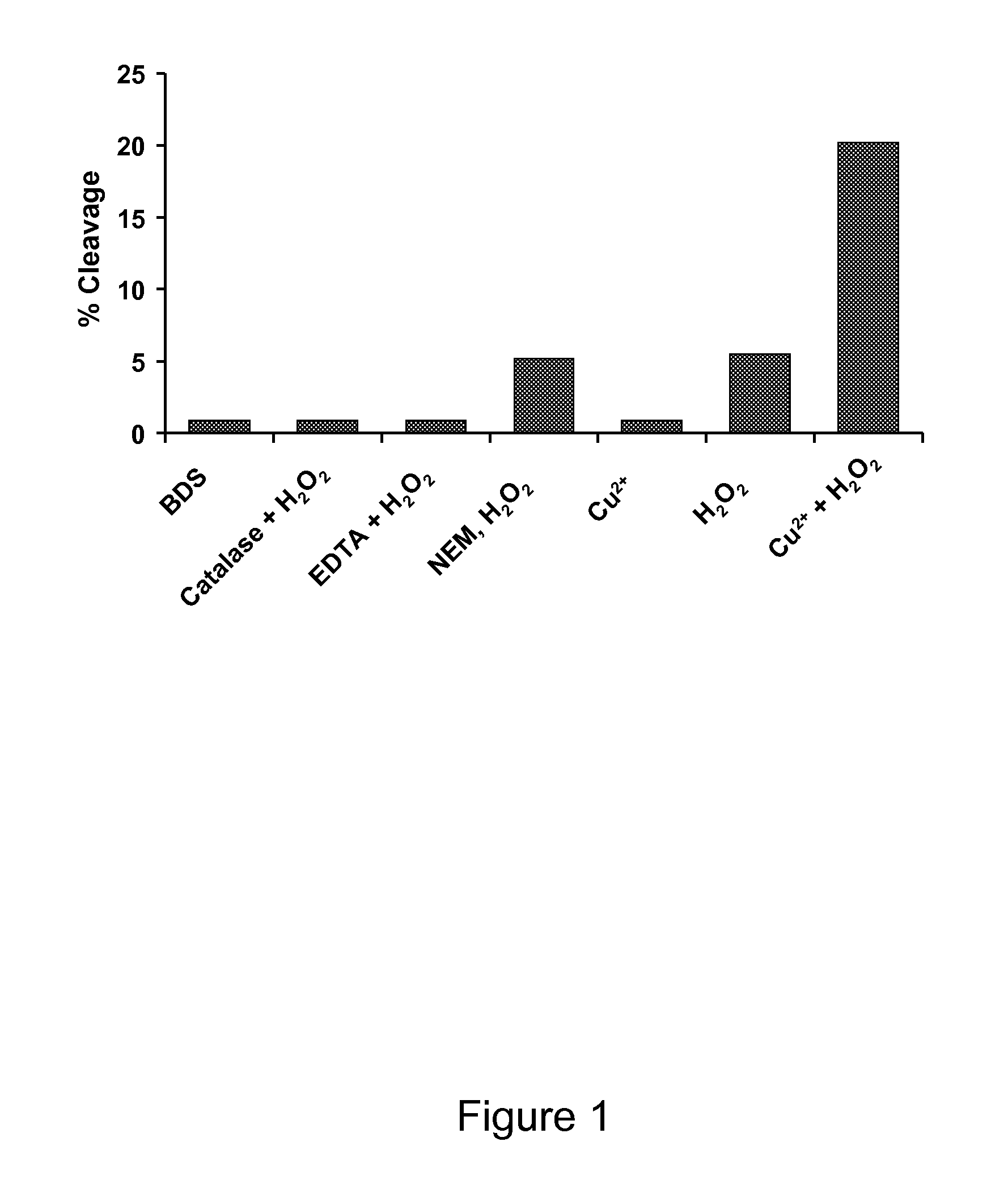 FRAGMENTATION RESISTANT IgG1 Fc-CONJUGATES